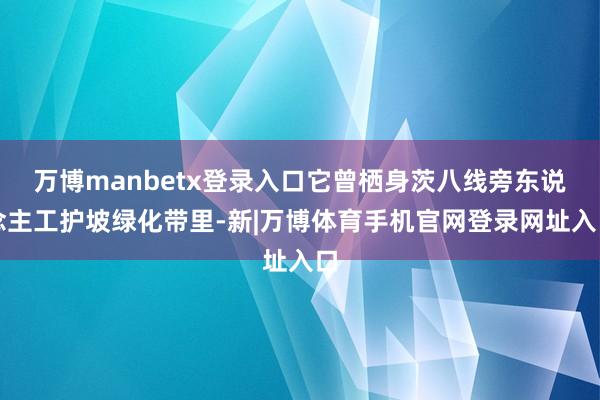 万博manbetx登录入口它曾栖身茨八线旁东说念主工护坡绿化带里-新|万博体育手机官网登录网址入口
