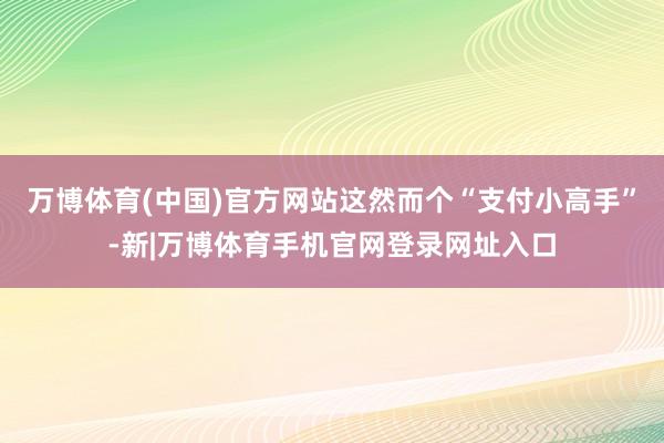 万博体育(中国)官方网站这然而个“支付小高手”-新|万博体育手机官网登录网址入口